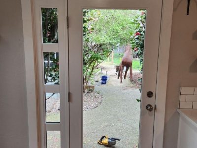 Front Door Replacement
