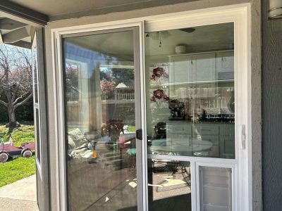 Pet Door Replacement